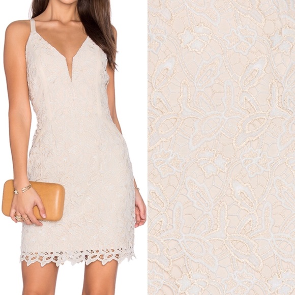 Greylin Dresses & Skirts - Greylin Sz M Olivia Lace Dress EUC